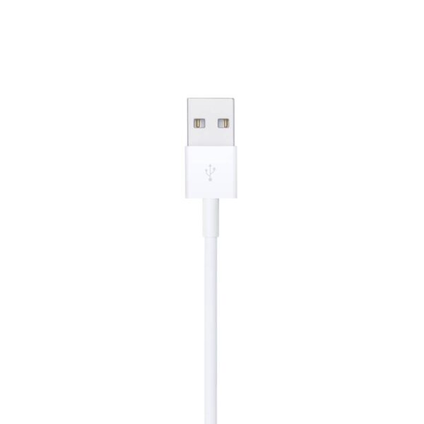 Apple Lightning to USB-1