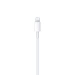 Apple USB-C to Lightning Cable-1