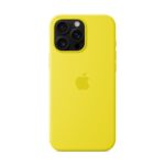 iPhone 16 Pro Max Silicone Case with MagSafe-star fruit