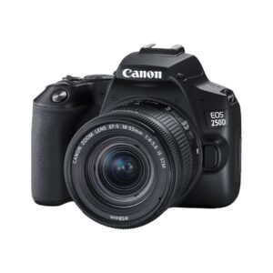 Canon EOS 250D + Canon EF-s 18-55mm f:4-5.6 IS STM Lens