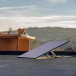 Starlink Standard V3