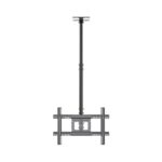 Zeno T750