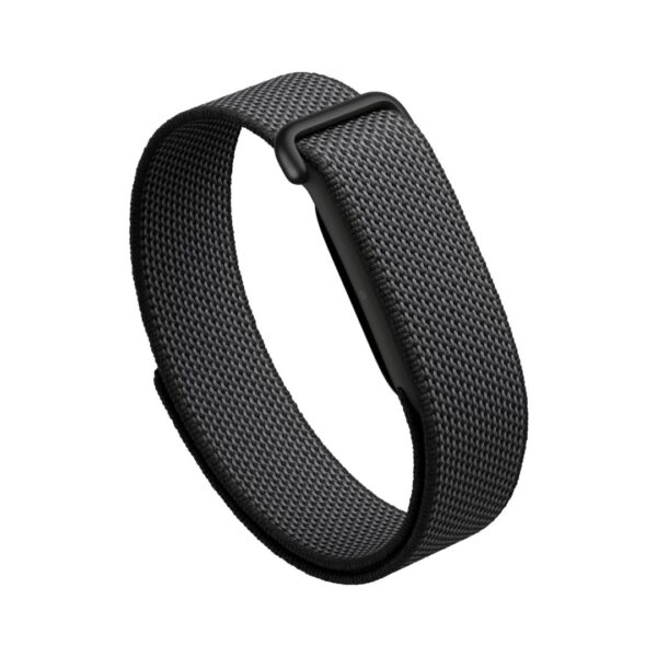 Google fitbit air-obsidian