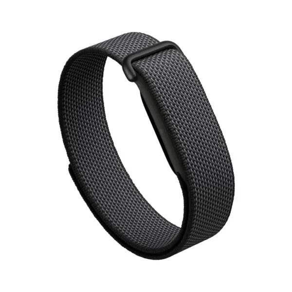 Google fitbit air-obsidian