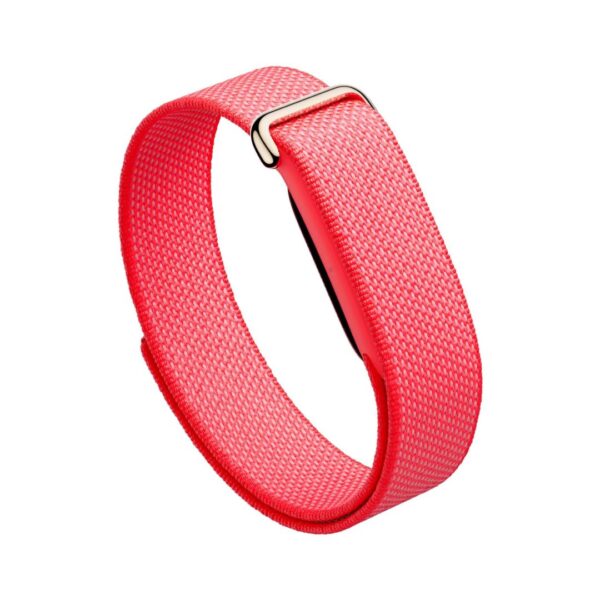 Google Fitbit Air-berry