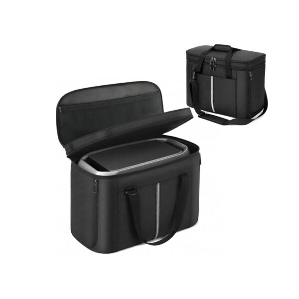 Ecoflow delta 2 bag